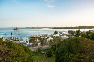 BSBIM Bimini Island Harbour Antonio Scant.jpg Photo